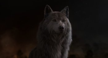 Movie still from “The Jungle Book” (2016), directed by Jon Favreau – The face of a gray wolf at night; Close Up shot, High angle