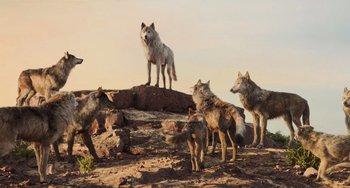 Movie still from “The Jungle Book” (2016), directed by Jon Favreau – A group of wild animals standing on top of a hill; Wide shot, Low angle