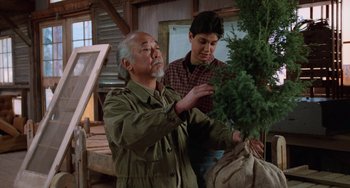 Movie still from “The Karate Kid Part III” (1989), directed by John G. Avildsen – An older man and a young boy looking at a tree; Medium shot, Low angle