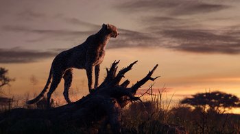 Movie still from “The Lion King” (2019), directed by Jon Favreau – A cheetah standing next to a tree stump; Wide shot, Low angle