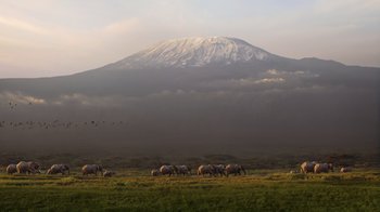 Movie still from “The Lion King” (2019), directed by Jon Favreau – A herd of horses grazing on a lush green field; Extreme Wide shot, Low angle