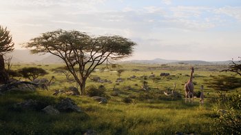 Movie still from “The Lion King” (2019), directed by Jon Favreau – A herd of animals grazing on a lush green field; Extreme Wide shot, High angle
