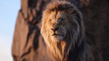 Movie still from “The Lion King” (2019), directed by Jon Favreau – The face of an adult lion; Close Up shot, Low angle