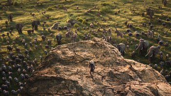 Movie still from “The Lion King” (2019), directed by Jon Favreau – A herd of animals grazing on a lush green field; Extreme Wide shot, High angle