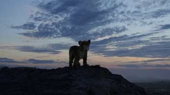Movie still from “The Lion King” (2019), directed by Jon Favreau – A lion cub standing on top of a hill at dusk; Extreme Wide shot, Low angle