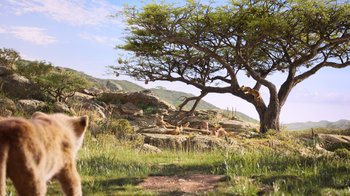 Movie still from “The Lion King” (2019), directed by Jon Favreau – A group of lions resting under a tree in the wild; Wide shot, Low angle