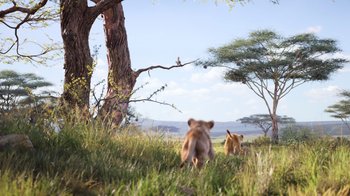 Movie still from “The Lion King” (2019), directed by Jon Favreau – A couple of animals that are in the grass; Extreme Wide shot, Low angle