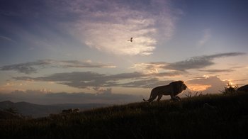 Movie still from “The Lion King” (2019), directed by Jon Favreau – A lion walking across a grass covered field; Extreme Wide shot, Low angle