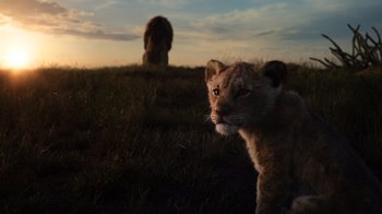 Movie still from “The Lion King” (2019), directed by Jon Favreau – A lion cub standing in the grass at sunset; Wide shot, Low angle