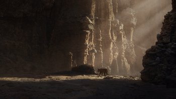 Movie still from “The Lion King” (2019), directed by Jon Favreau – A bear is walking in the middle of a rocky area; Extreme Wide shot, Low angle