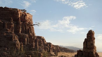 Movie still from “The Lion King” (2019), directed by Jon Favreau – A bird sitting on top of a rock formation; Extreme Wide shot, Low angle