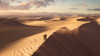 Movie still from “The Lion King” (2019), directed by Jon Favreau – An animal is walking down a dirt path through the sand dunes; Extreme Wide shot, High angle
