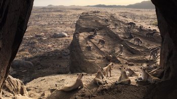 Movie still from “The Lion King” (2019), directed by Jon Favreau – A group of dogs sitting on top of a rocky cliff; Extreme Wide shot, High angle