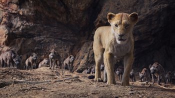 Movie still from “The Lion King” (2019), directed by Jon Favreau – A group of wild animals walking in the dirt; Wide shot, Low angle