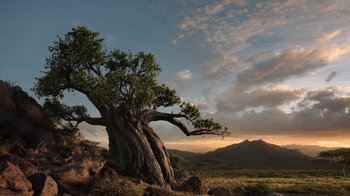 Movie still from “The Lion King” (2019), directed by Jon Favreau – An old tree in the middle of a grassy field; Extreme Wide shot, Low angle