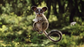 Movie still from “The Lion King” (2019), directed by Jon Favreau – An animal's face in the air with trees in the background; Wide shot, Low angle