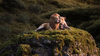 Movie still from “The Lion King” (2019), directed by Jon Favreau – A couple of lions laying on top of a green hill; Wide shot, Low angle