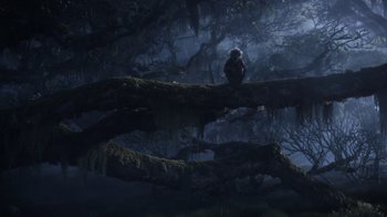Movie still from “The Lion King” (2019), directed by Jon Favreau – An owl sitting on top of a tree branch in the woods; Wide shot, Low angle