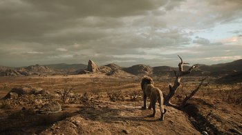 Movie still from “The Lion King” (2019), directed by Jon Favreau – A lion standing on top of a dry grass covered field; Extreme Wide shot, Low angle