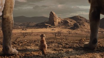 Movie still from “The Lion King” (2019), directed by Jon Favreau – A dog sitting on top of a dry grass field; Extreme Wide shot, High angle