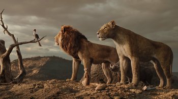 Movie still from “The Lion King” (2019), directed by Jon Favreau – A couple of lions standing on top of a hill; Wide shot, Low angle
