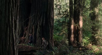 Movie still from “The Lost World: Jurassic Park” (1997), directed by Steven Spielberg – Two people are standing in the woods near some trees; Extreme Wide shot, Low angle