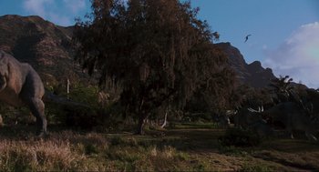 A large tree in the middle of a grassy field