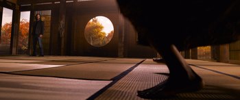 Movie still from “The Matrix Resurrections” (2021), directed by Lana Wachowski – A cat standing on the ground looking at a tree through a round window; Extreme Wide shot, Low angle