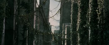 Movie still from “The Maze Runner” (2014), directed by Wes Ball – A view of trees and a building through a window; Extreme Wide shot, Low angle