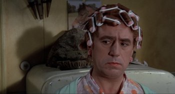 Movie still from “The Meaning of Life” (1983), directed by Terry Jones – A man with curlers on his head in front of a cat; Close Up shot, Over the shoulder angle