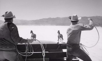 Movie still from “The Misfits” (1961), directed by John Huston – A man in a cowboy hat is standing on a fence watching two horses; Wide shot, Low angle