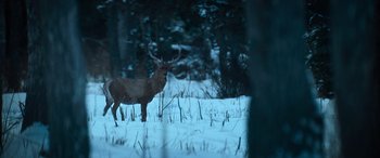 Movie still from “The Mother” (2023), directed by Niki Caro – A deer standing in the middle of a snow covered field; Wide shot, Over the shoulder angle