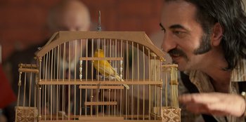 Movie still from “The Nightingale of Bursa” (2023), directed by Hakan Algül – A yellow bird sitting in a wooden bird cage; Extreme Close Up shot, Low angle