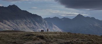 Movie still from “The Power of the Dog” (2021), directed by Jane Campion – A man standing on top of a grass covered hill; Extreme Wide shot, Low angle