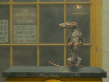 Movie still from “The Rat Catcher” (2023), directed by Wes Anderson – A rat sitting on top of a counter; Wide shot, Low angle