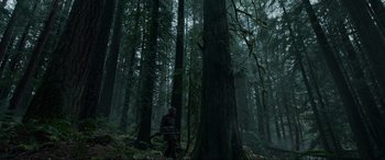 Movie still from “The Revenant” (2015), directed by Alejandro G. Iñárritu – A man that is in the woods with a gun; Extreme Wide shot, Low angle