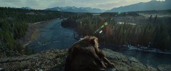Movie still from “The Revenant” (2015), directed by Alejandro G. Iñárritu – A bear laying on top of a hill next to a body of water; Wide shot, Low angle
