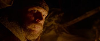 Movie still from “The Revenant” (2015), directed by Alejandro G. Iñárritu – A person with a beard; Close Up shot, Low angle