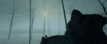 Movie still from “The Revenant” (2015), directed by Alejandro G. Iñárritu – A person riding a horse through a forest in the fog; Wide shot, Low angle