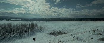 Movie still from “The Revenant” (2015), directed by Alejandro G. Iñárritu – A dog is standing in the middle of a snow covered field; Extreme Wide shot, High angle