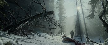 Movie still from “The Revenant” (2015), directed by Alejandro G. Iñárritu – A person walking in the snow near a tree; Extreme Wide shot, Low angle