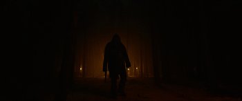 Movie still from “The Revenant” (2015), directed by Alejandro G. Iñárritu – A person in a dark forest at night with a flashlight; Wide shot, Low angle
