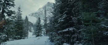 Movie still from “The Revenant” (2015), directed by Alejandro G. Iñárritu – A group of trees that are in the snow; Extreme Wide shot, High angle