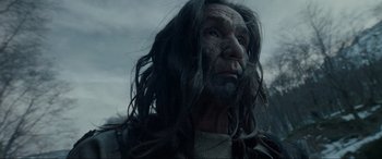 Movie still from “The Revenant” (2015), directed by Alejandro G. Iñárritu – An old man with long hair and a long beard; Close Up shot, Low angle