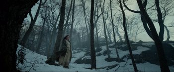 Movie still from “The Revenant” (2015), directed by Alejandro G. Iñárritu – A woman standing in the snow near a forest; Wide shot, Low angle