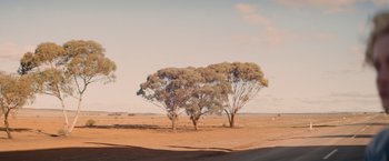 Movie still from “The Royal Hotel” (2023), directed by Kitty Green – A couple of trees in the middle of a field; Extreme Wide shot, High angle