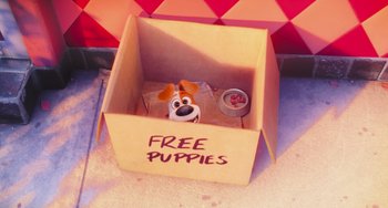 Movie still from “The Secret Life of Pets” (2016), directed by Chris Renaud – A box that has a puppy inside of it; Extreme Wide shot, High angle
