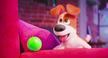 Movie still from “The Secret Life of Pets” (2016), directed by Chris Renaud – A dog is sitting on a couch next to a pillow and a green ball; Close Up shot, High angle