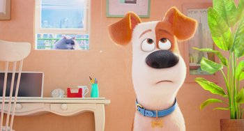 Movie still from “The Secret Life of Pets” (2016), directed by Chris Renaud – A dog looking at a cat in a room with a desk; Close Up shot, Over the shoulder angle