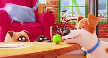 Movie still from “The Secret Life of Pets” (2016), directed by Chris Renaud – A dog and a cat are playing with a green ball; Medium shot, Over the shoulder angle